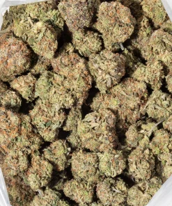 Platinum Pink (AAAA+)