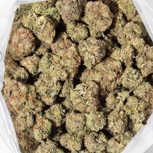 Platinum Pink (AAAA+)