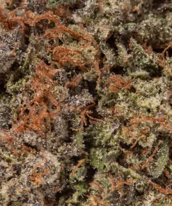 Platinum Pink (AAAA+)
