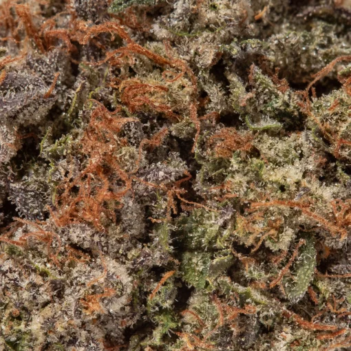 Platinum Pink (AAAA+)