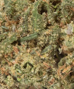 OG Skunk (AA/Popcorn)