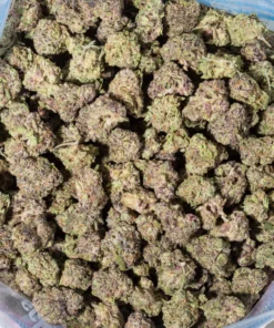 Runtz (AAAA Popcorn)