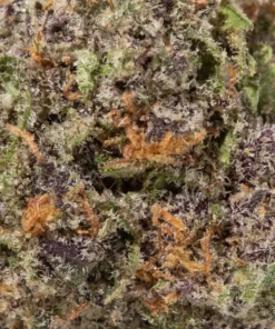 Runtz (AAAA Popcorn)