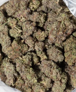 Dark Star (AAAA)