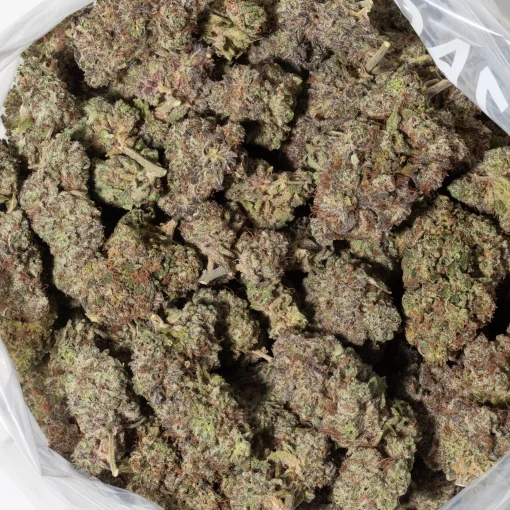 Dark Star (AAAA)