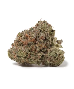 Dark Star (AAAA)