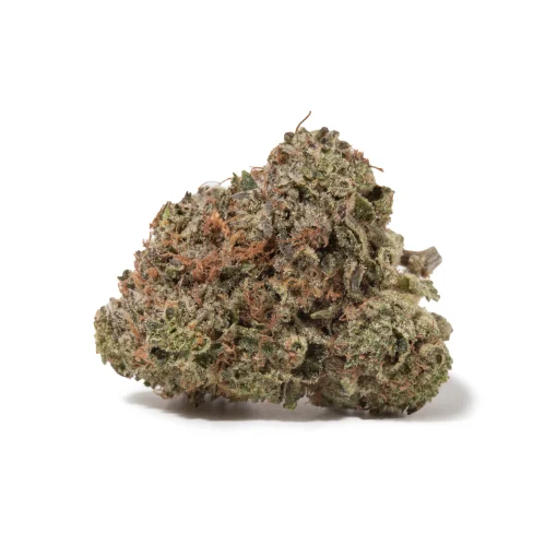 Dark Star (AAAA)