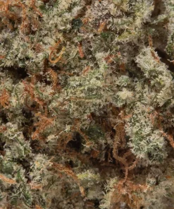 Layer Cake (AAAA+)