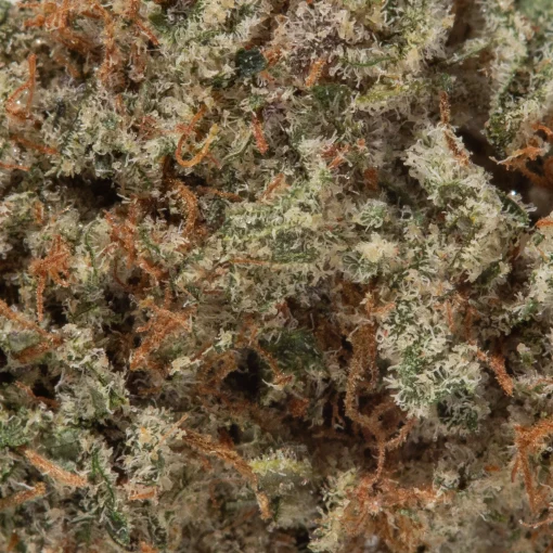 Layer Cake (AAAA+)