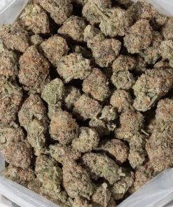 Slurricane Smalls (AAAAA/Craft)