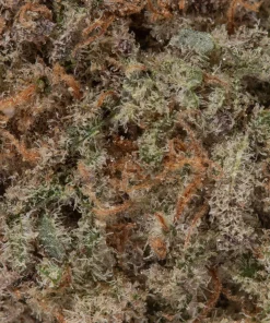 Slurricane Smalls (AAAAA/Craft)