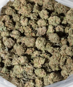 Snow Bud (AAAA/Popcorn)