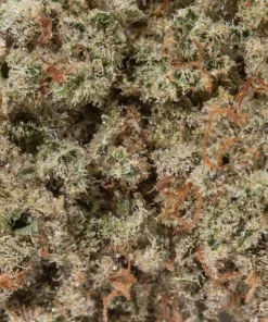 Snow Bud (AAAA/Popcorn)