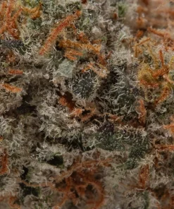 Supreme Pink Kush (AAAA+)