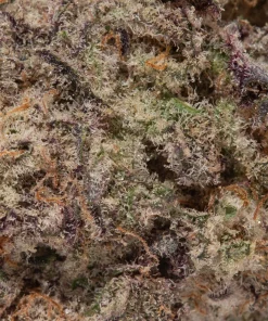 Jelly Donut (AAAA+)