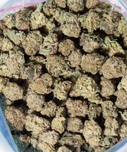White Rhino Smalls (AAAA)
