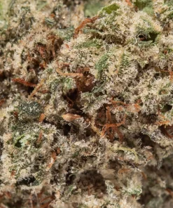 White Rhino Smalls (AAAA)