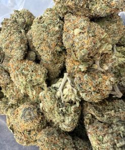Sherb Cream Pie (AAAA+)