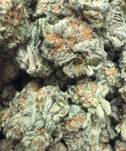 White Wedding Smalls (AAAA) - BULK