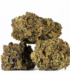 Black Afghani (AAA)