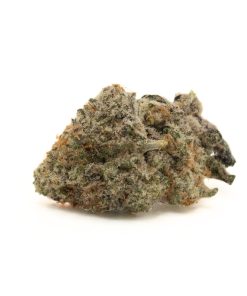 Slurricane (AAAA+/Popcorn)