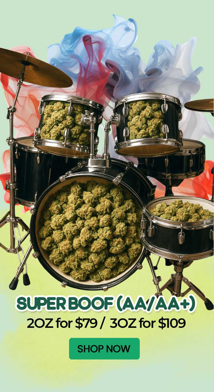 Super Boof (AA/AA+) - $79/109