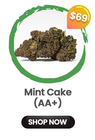 Mint Cake - $69