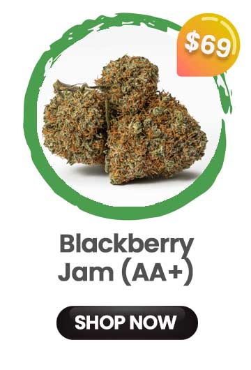 Blackberry Jam - $69