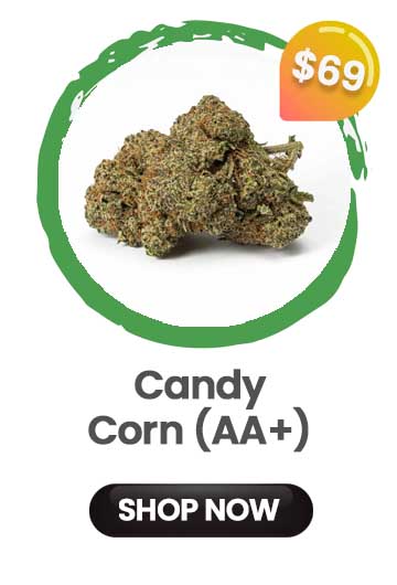 Candy Corn - $69