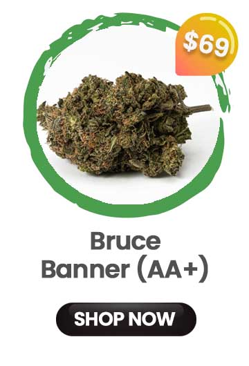 Bruce Banner - $69