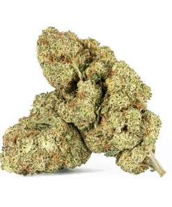 Extreme Cream (AAA)