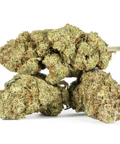 Extreme Cream (AAA)
