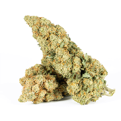 Gorilla Bomb (AAA)