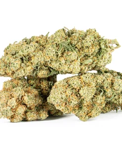 Gorilla Bomb (AAA)