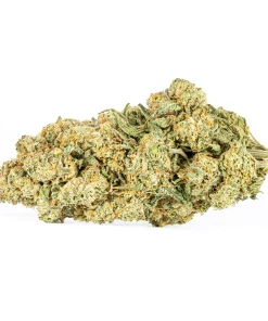 Gorilla Bomb (AAA)