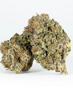 Double Purple Afgooey (AAAA)
