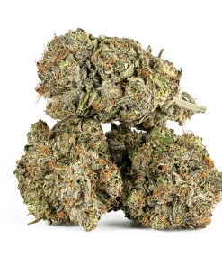 Double Purple Afgooey (AAAA)