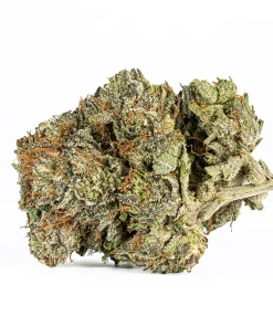 Double Purple Afgooey (AAAA)