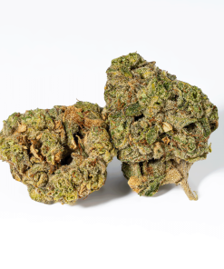 98 Lemon Haze (AA)