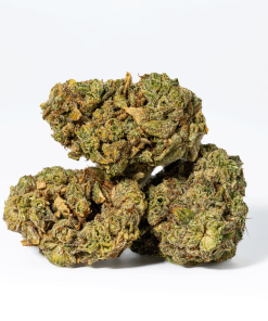 98 Lemon Haze (AA)