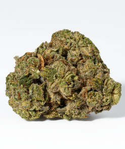 98 Lemon Haze (AA)