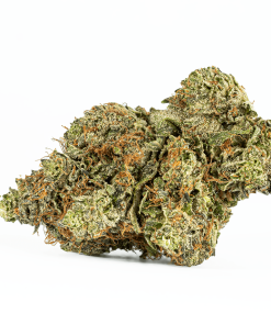 Ace Killer Og (AAA+)