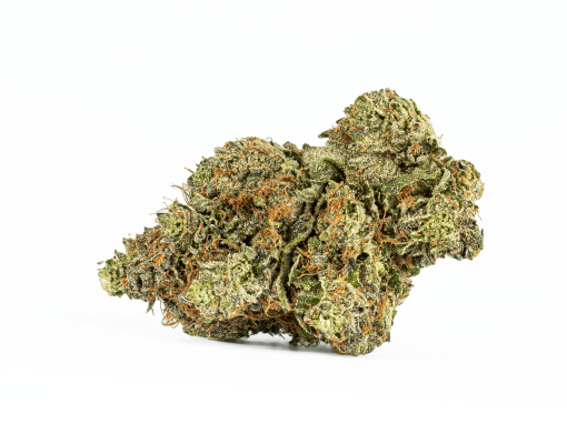 Ace Killer Og (AAA+)