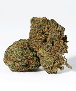 Ayahuasca Purple (AA+)