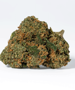 Ayahuasca Purple (AA+)