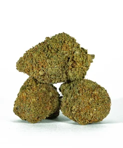 Beaver Tail (AA+)