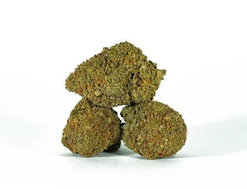 Beaver Tail (AA+)