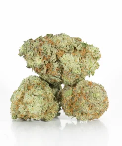 Berner Cookies (AAAA)