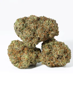 Blackberry Headband (AAA+)