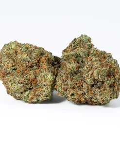Blackberry Headband (AAA+)